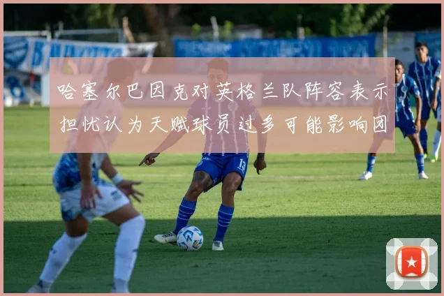 哈塞尔巴因克对英格兰队阵容表示担忧认为天赋球员过多可能影响团队合作