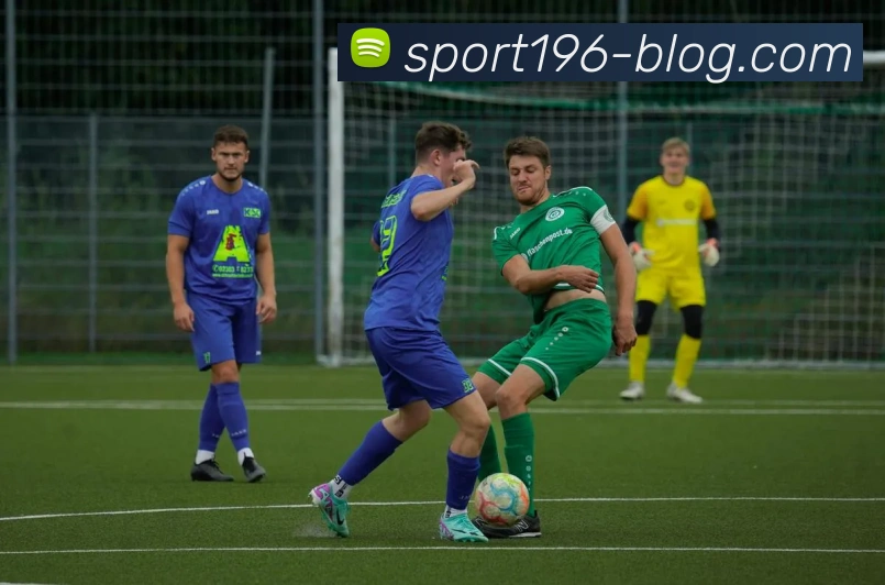 196体育发展历程